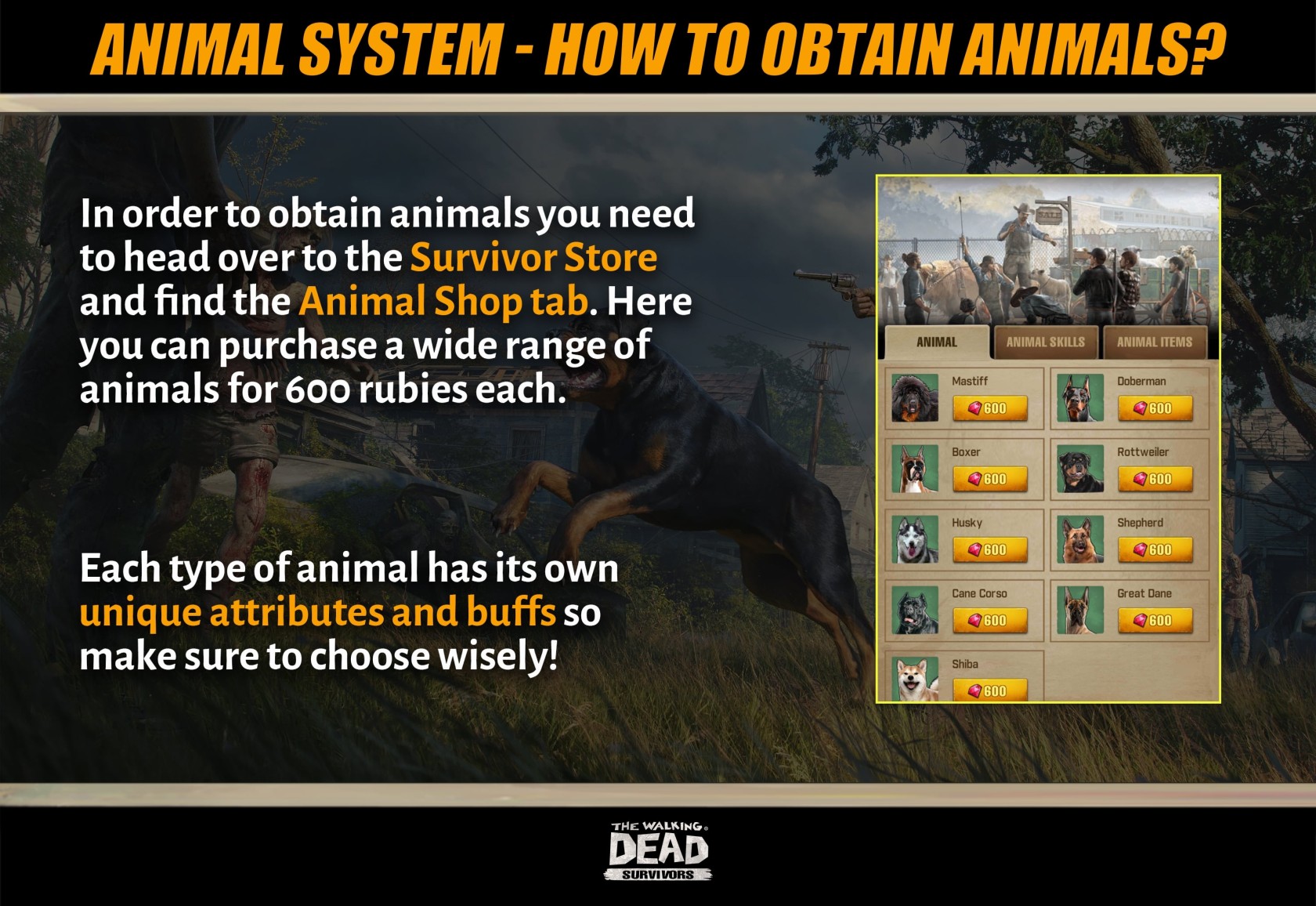 Animal_System_Introduction_-_Page_3.jpg